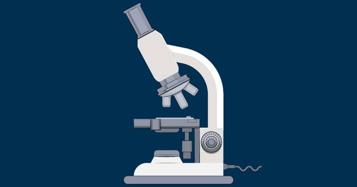Light Microscope Virtual Lab