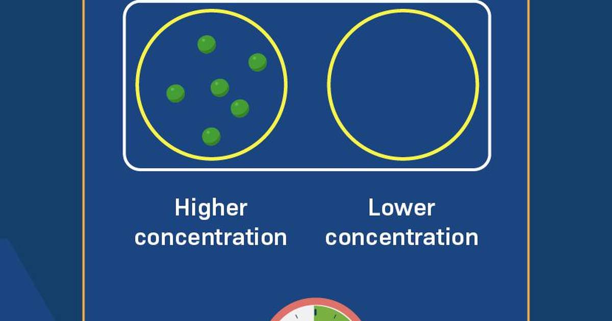 Factors Affecting the Diffusion Rate: Diffusion Rate