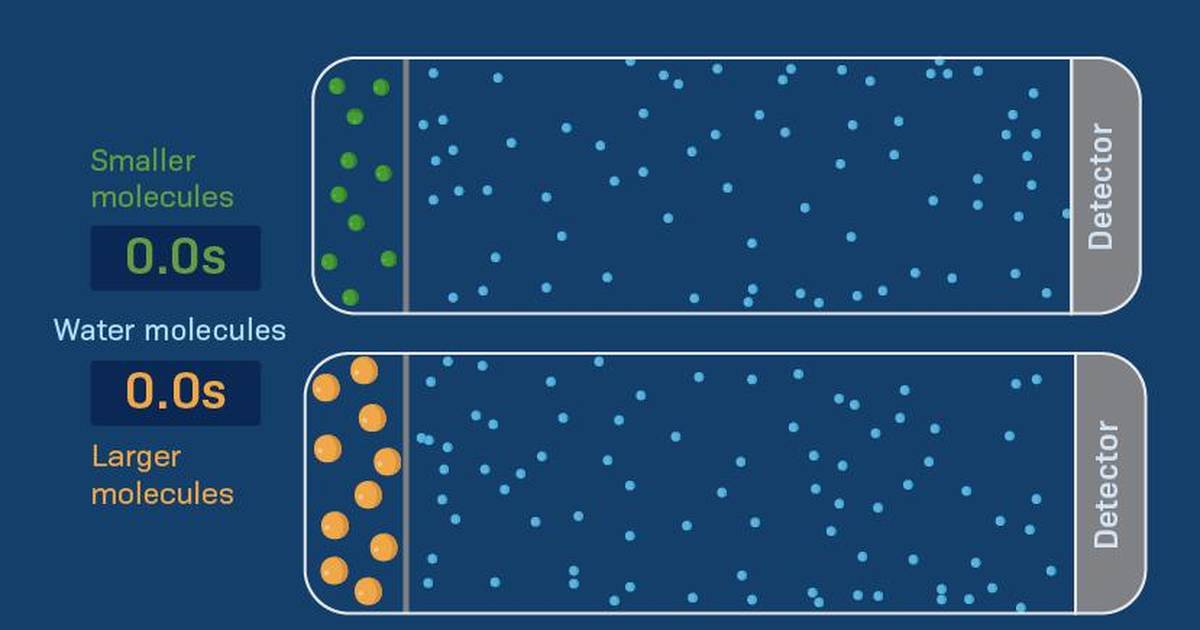 Factors Affecting the Diffusion Rate: Molecular Size