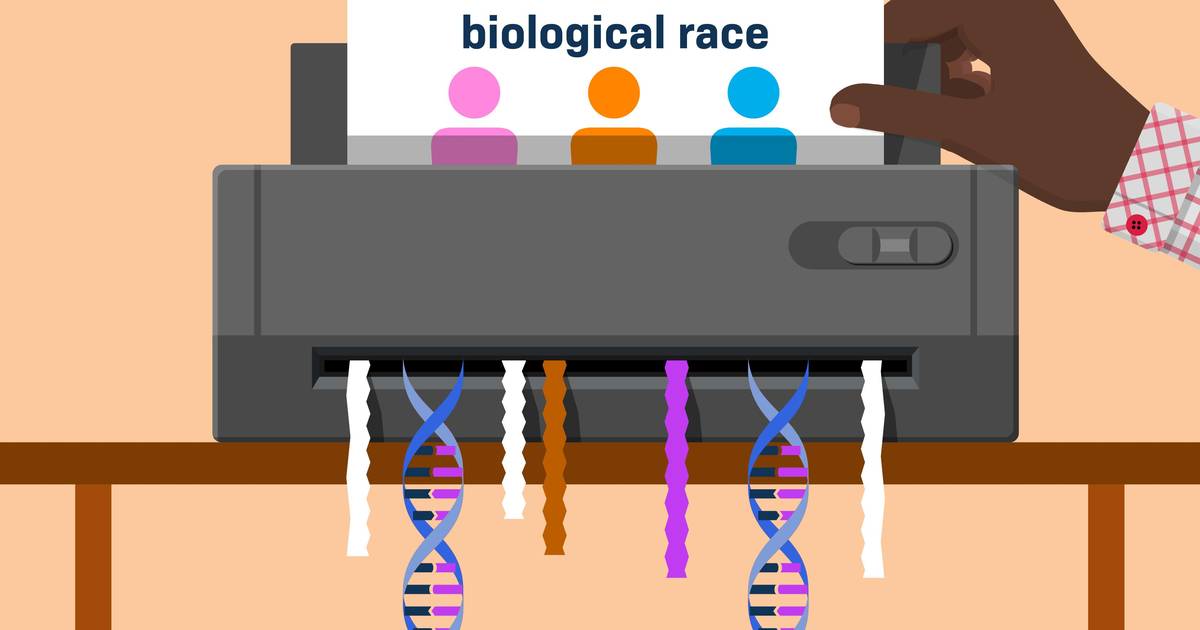 Why Humans Do Not Have Biological Races