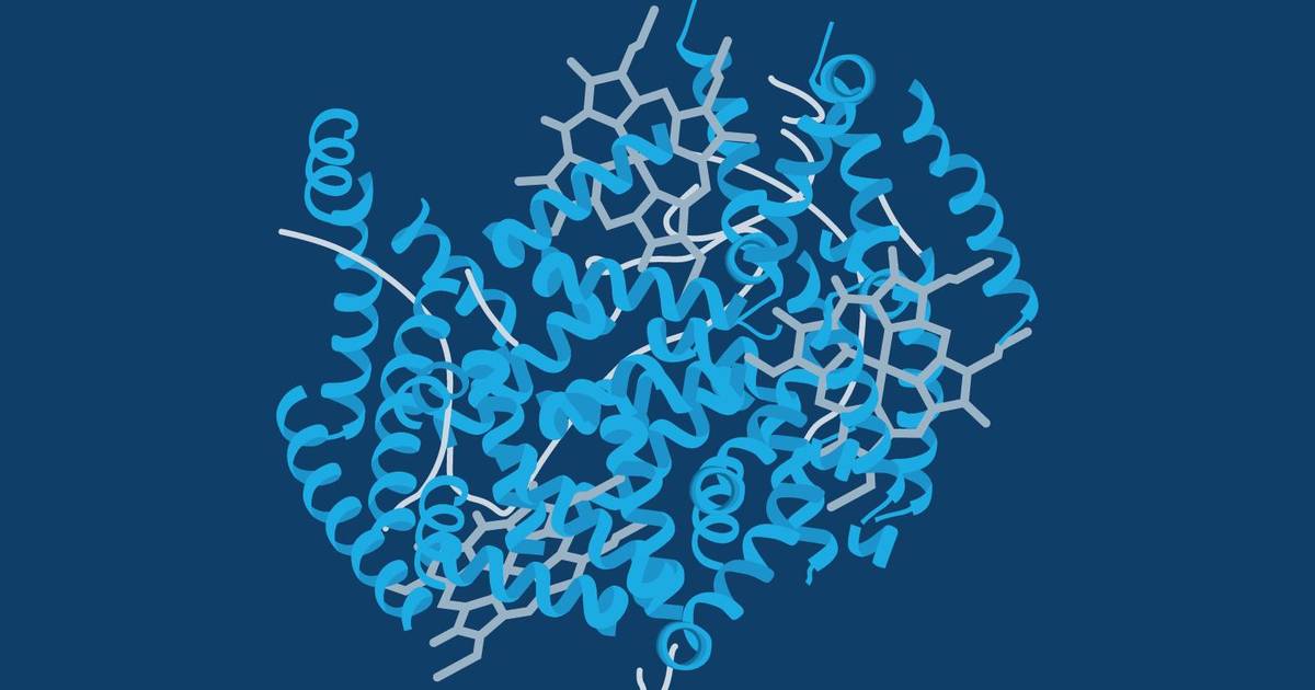 Genetically Engineering Proteins
