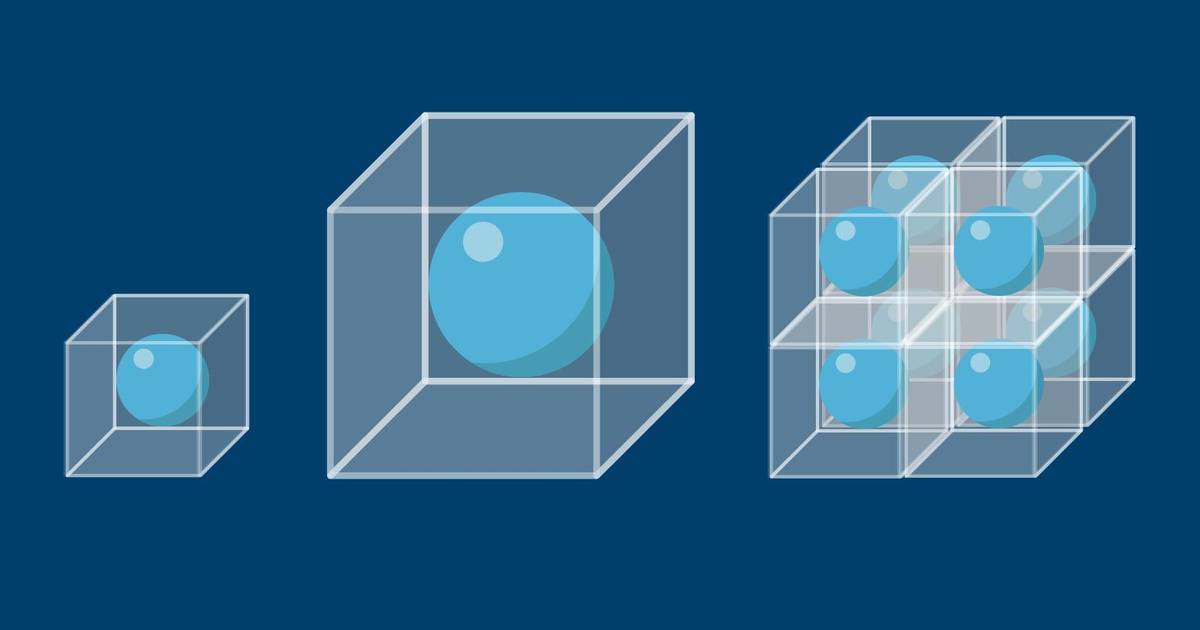 Surface Area and Cell Size