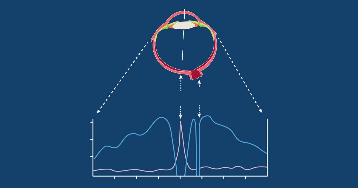 Eye Color and the Application of Data Visualization