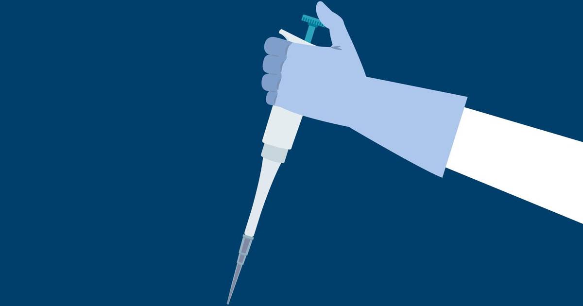 Using a Micropipette