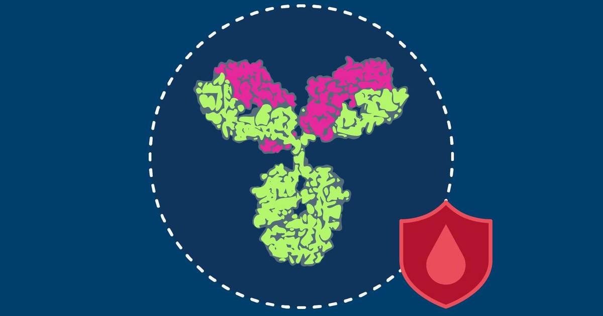 Screening for Impurities in Therapeutic Protein Production