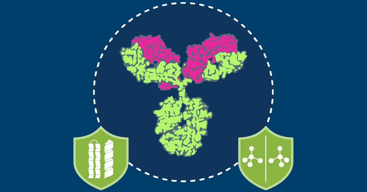 Higher Order Structure Analysis of Therapeutic Proteins