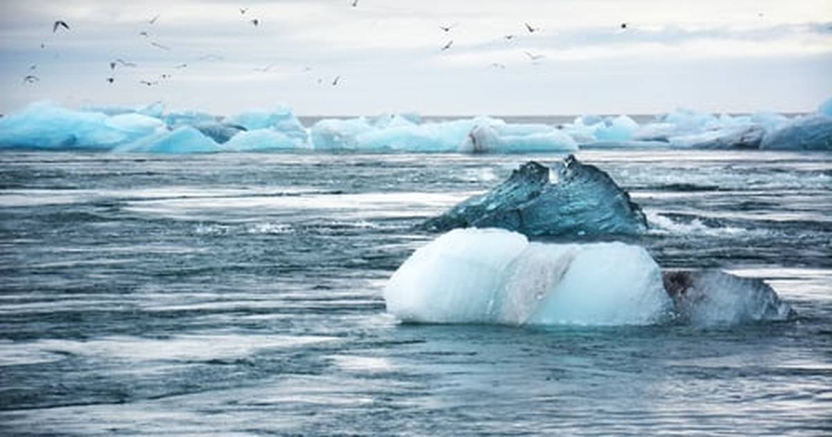 Sea Level Rise Projections