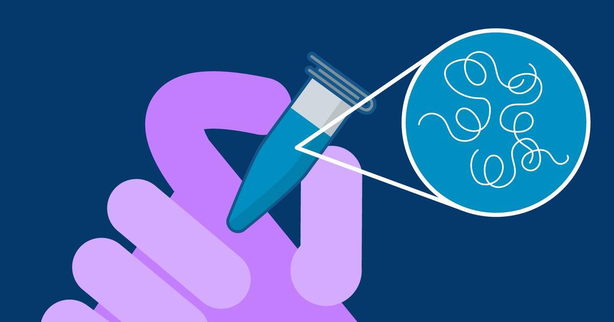 DNA Extraction Protocol Steps