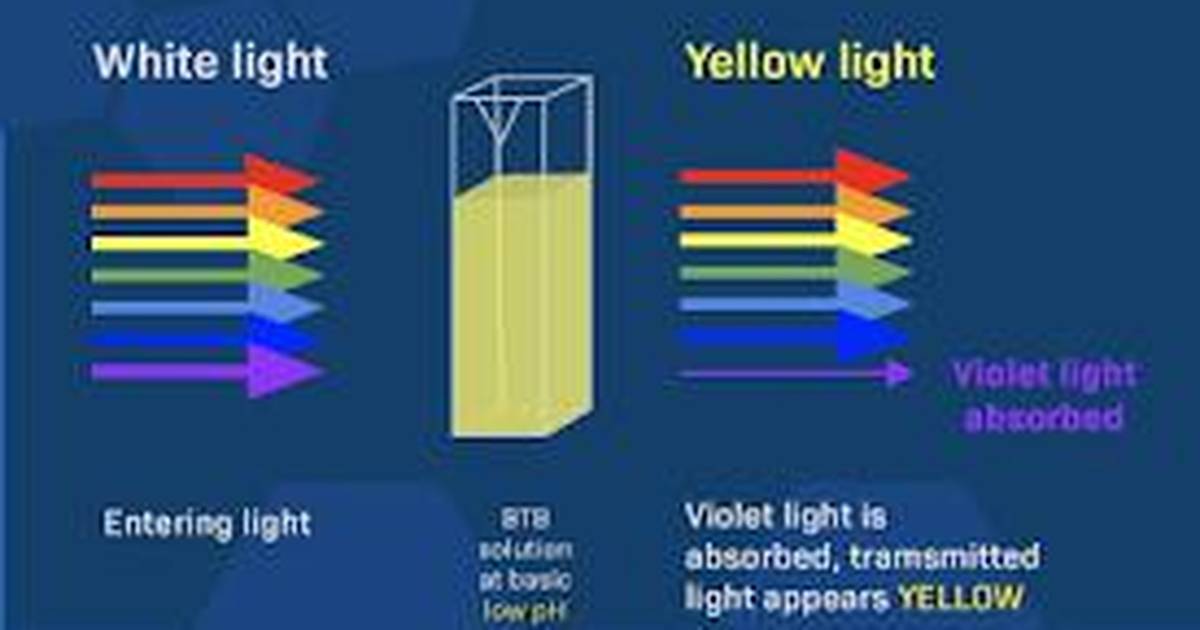 The Effect of pH on the Spectrum of BTB
