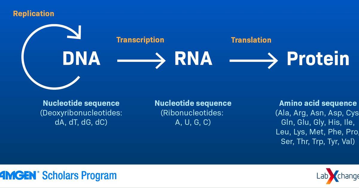 How to Interpret Biological Model Figures: Information flow