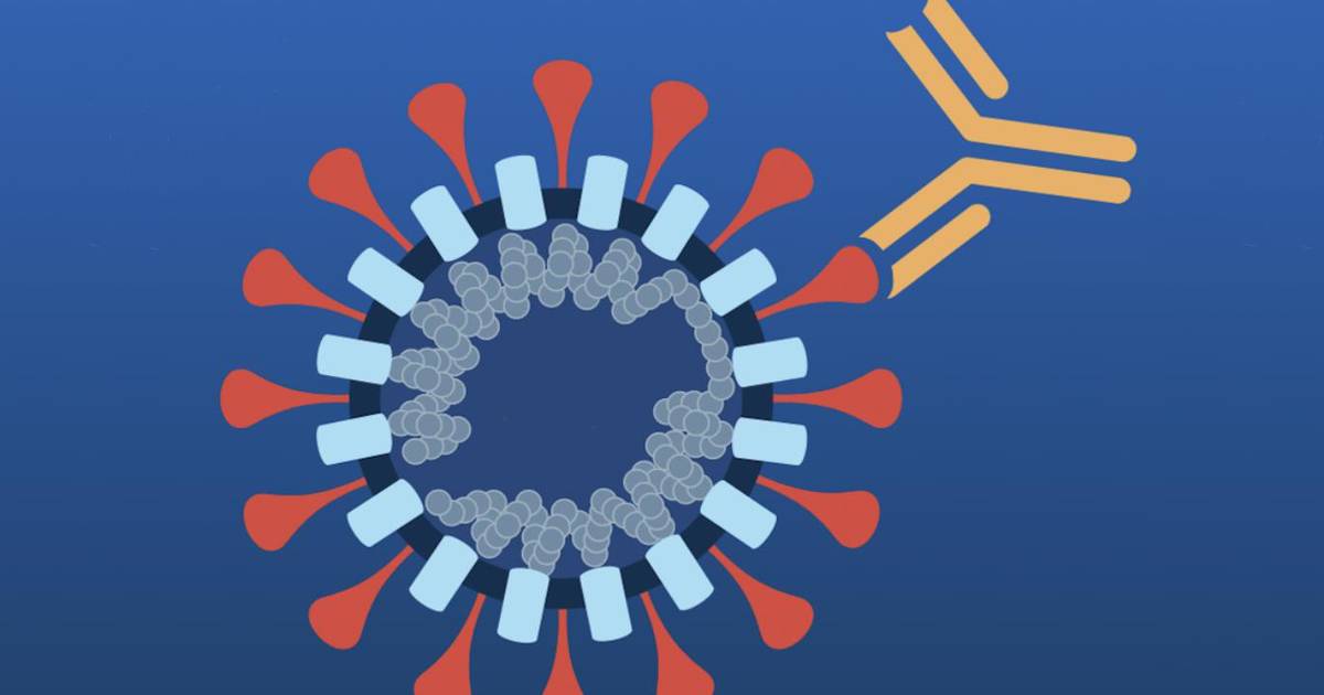 Making a Recombinant Protein Vaccine for the SARS-CoV-2 Coronavirus