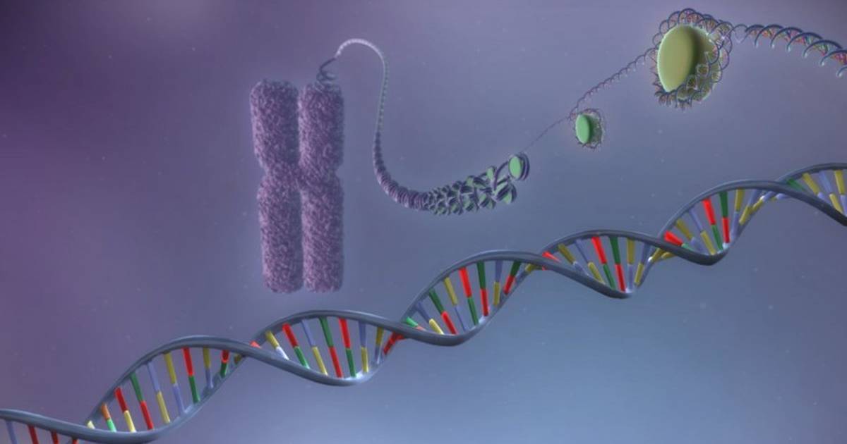 Kusukela ku-DNA Kuya ku-Phrotheni