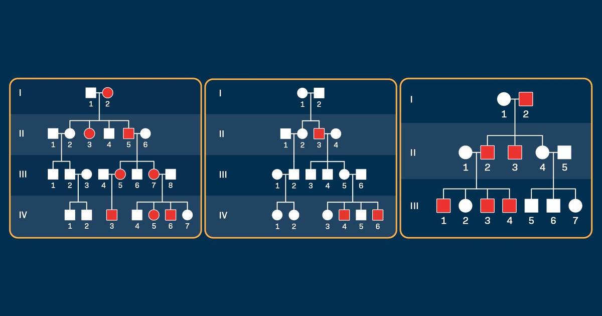 Sex-linked Modes of Inheritance