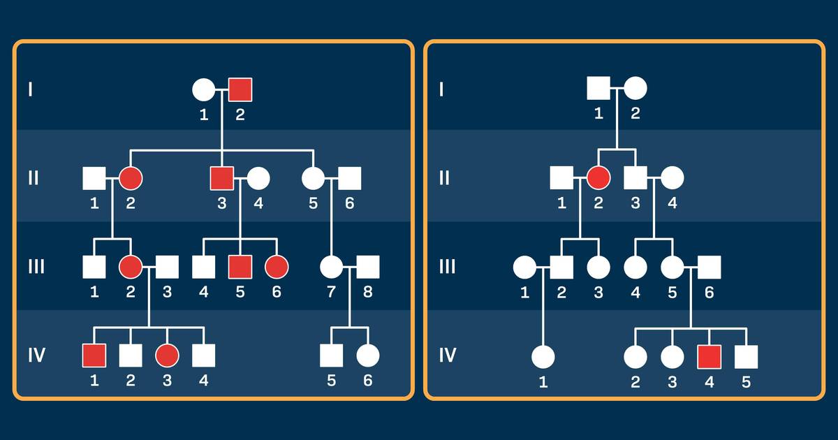 Autosomal Modes of Inheritance