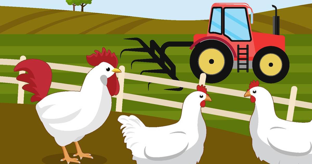 Sustainable Farming