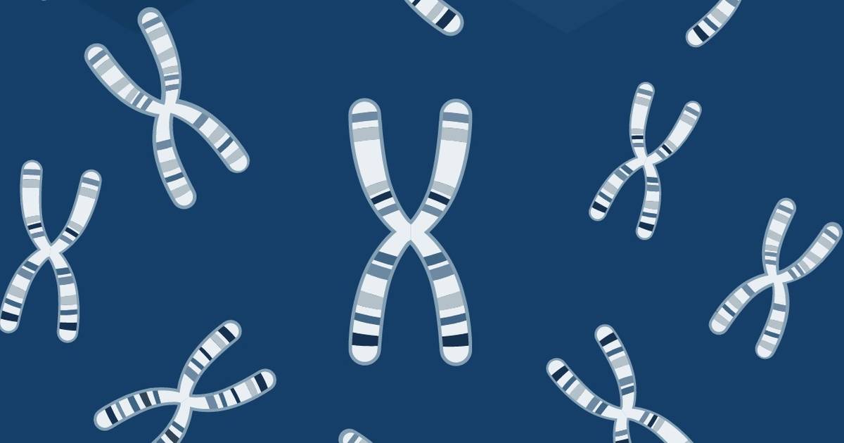 Introduction to Gene Editing: CRISPR-Cas9
