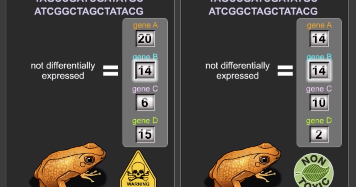 Genome Wide Association Studies and Human Disease