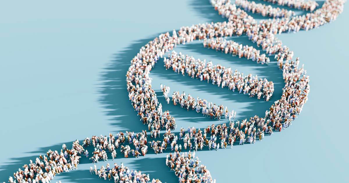 Genetics and Evolution Through Simulations