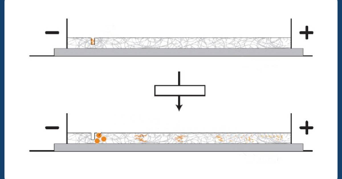 How to Verify the Recombinant Plasmid