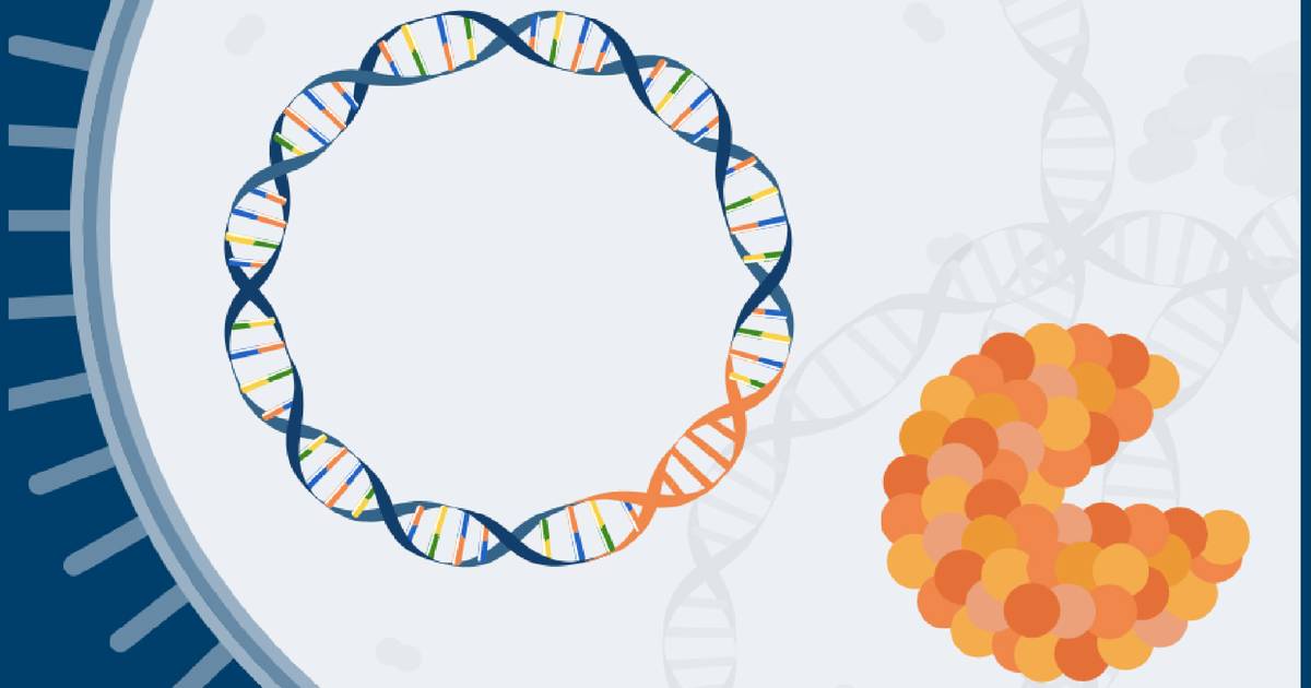 How Are Restriction Enzymes Used in Biotechnology?