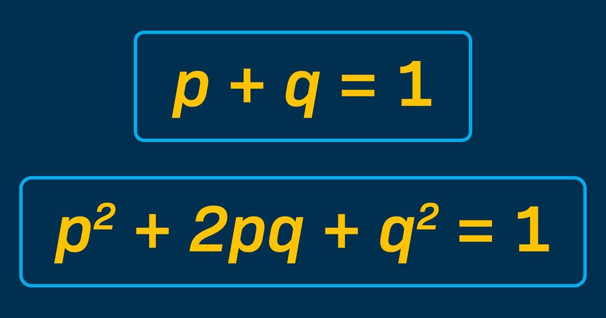 Extension Worksheet: Hardy-Weinberg Mathematical Modeling