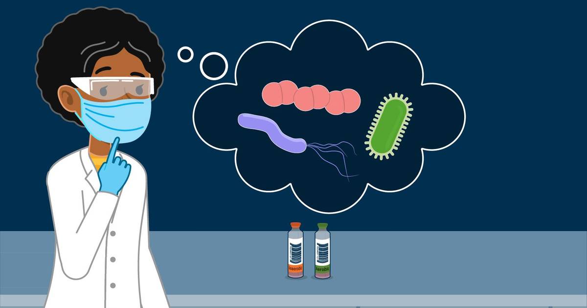 Investigating a Bacterial Infection