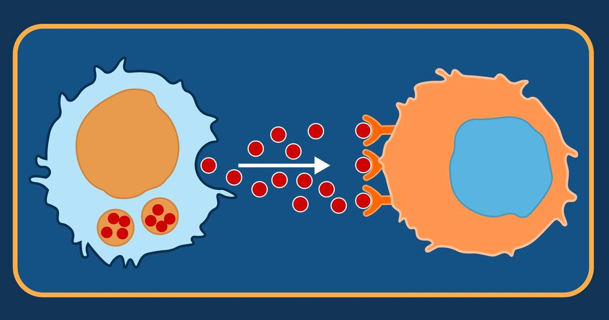 Types of Cell Signaling