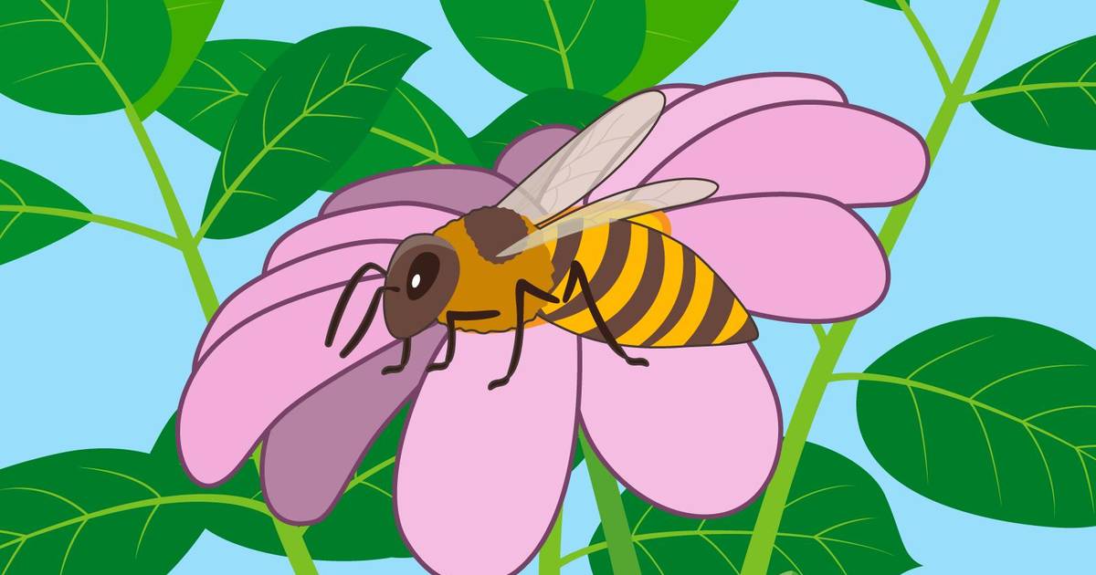 Fitness and Impacts of Species Interactions