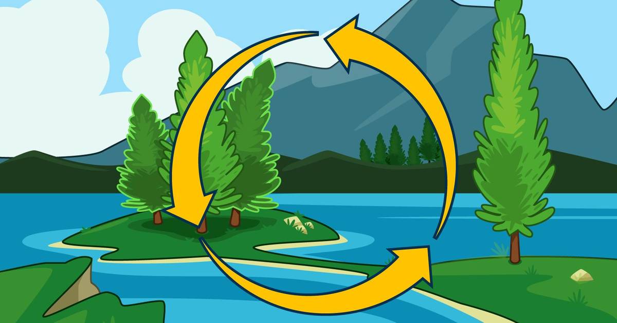 The Water, Carbon, and Nitrogen Cycles