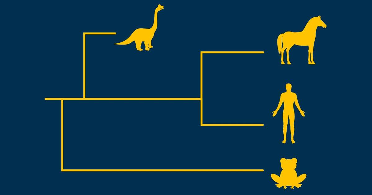 Sequence Alignment: A Tool to Study Evolution