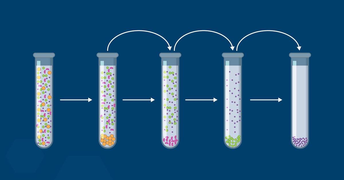 Unpacking the Cell: Exploring Cell Fractionation
