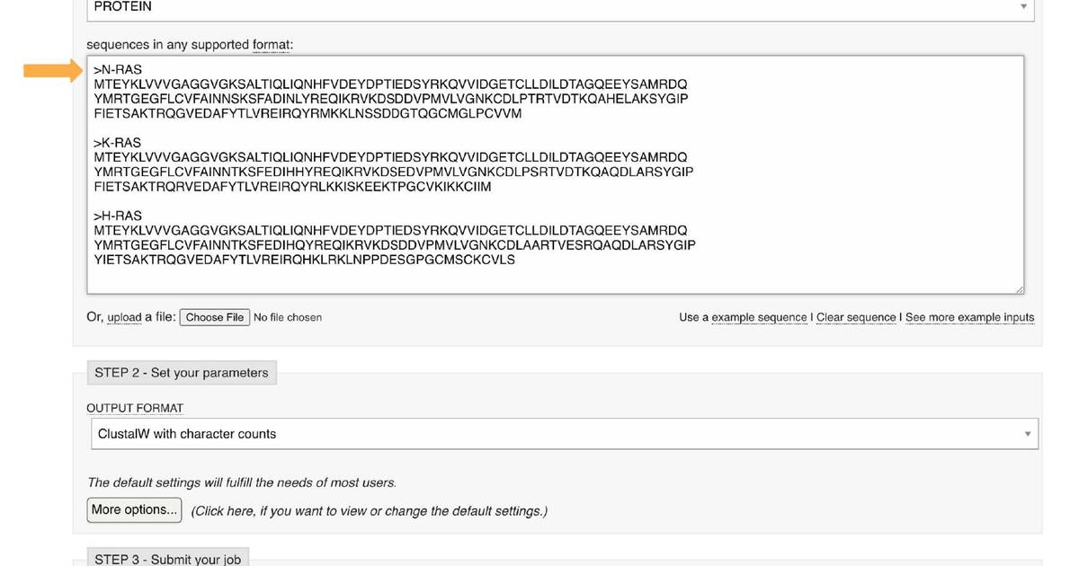 How to Align Nucleic Acid or Protein Sequences