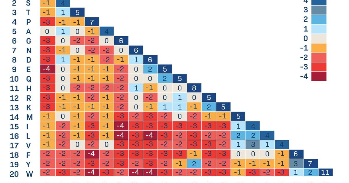 BLOSUM62 Substitution Matrix