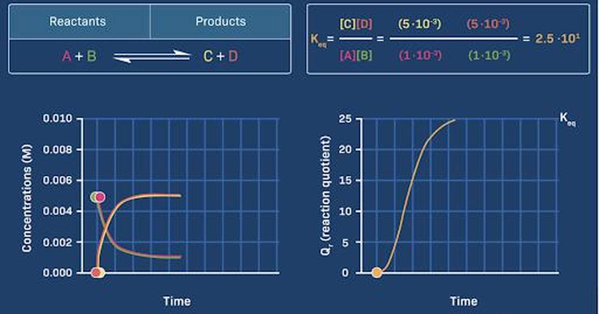 The Reaction Quotient