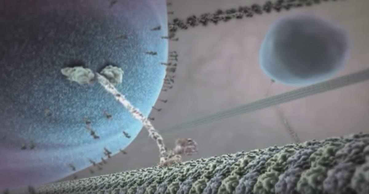 Inner Life of the Cell with Music