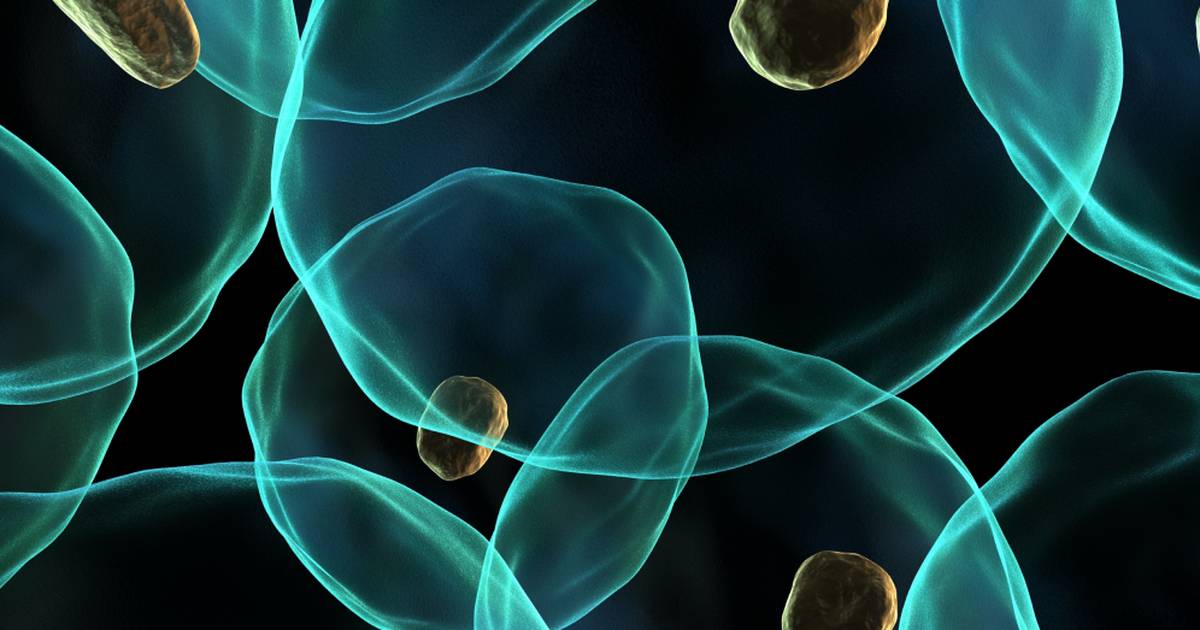 Introduction to Biology