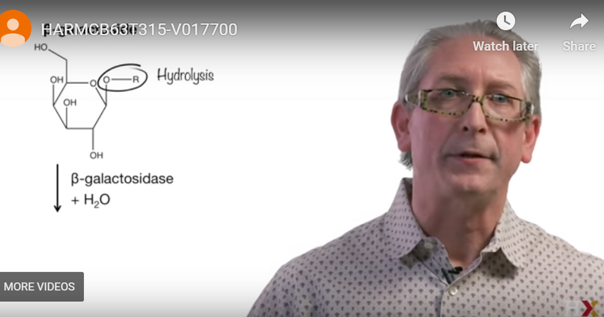Introduction to Enzyme Kinetics
