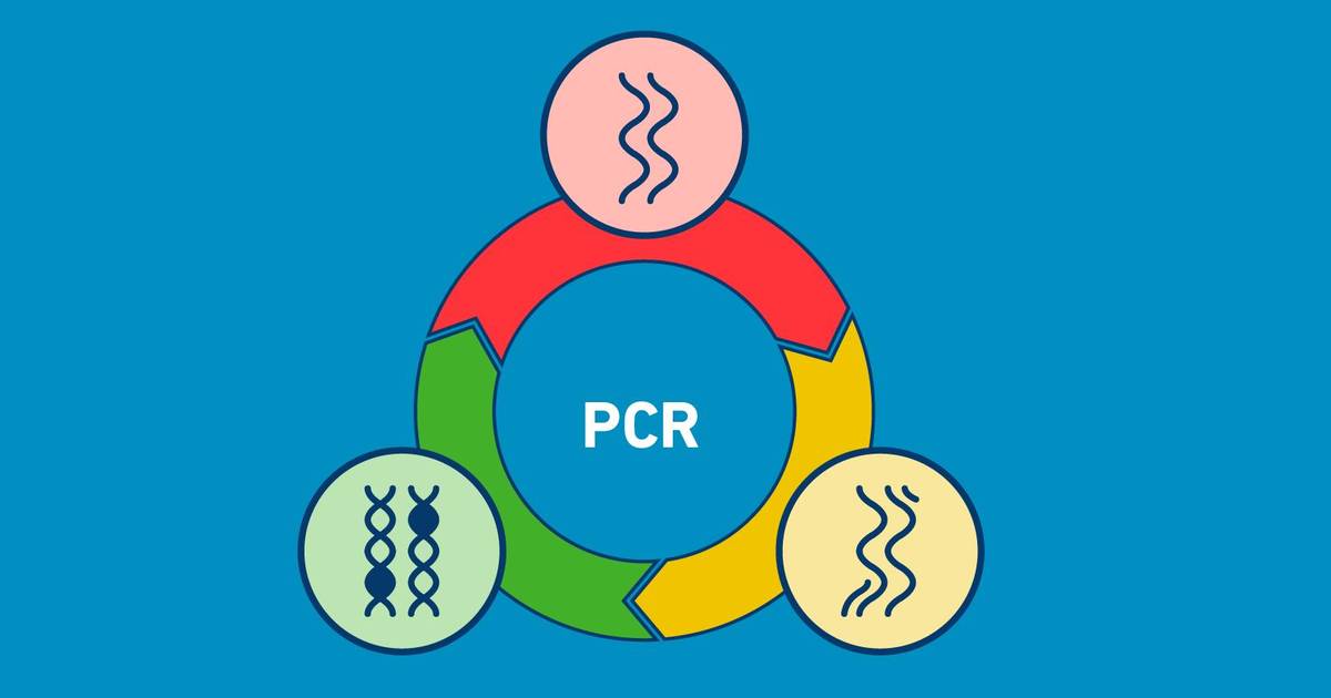 PCR