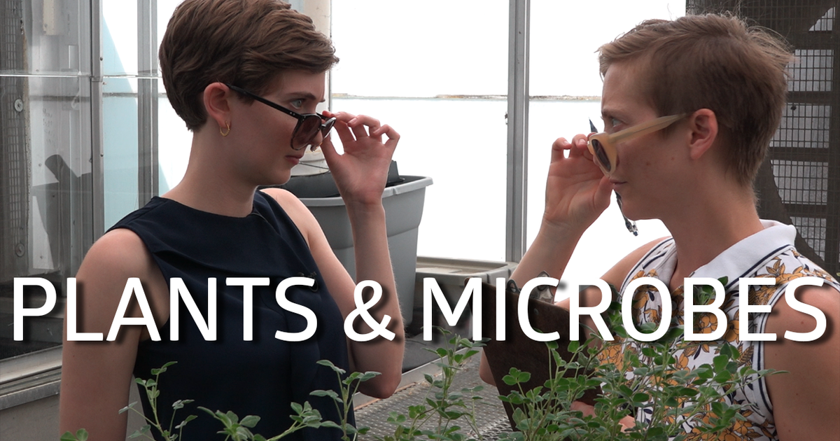 Plant-Microbe Interactions!