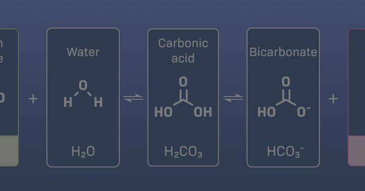 What Effect Does Carbon Dioxide Have on the pH Indicator BTB?