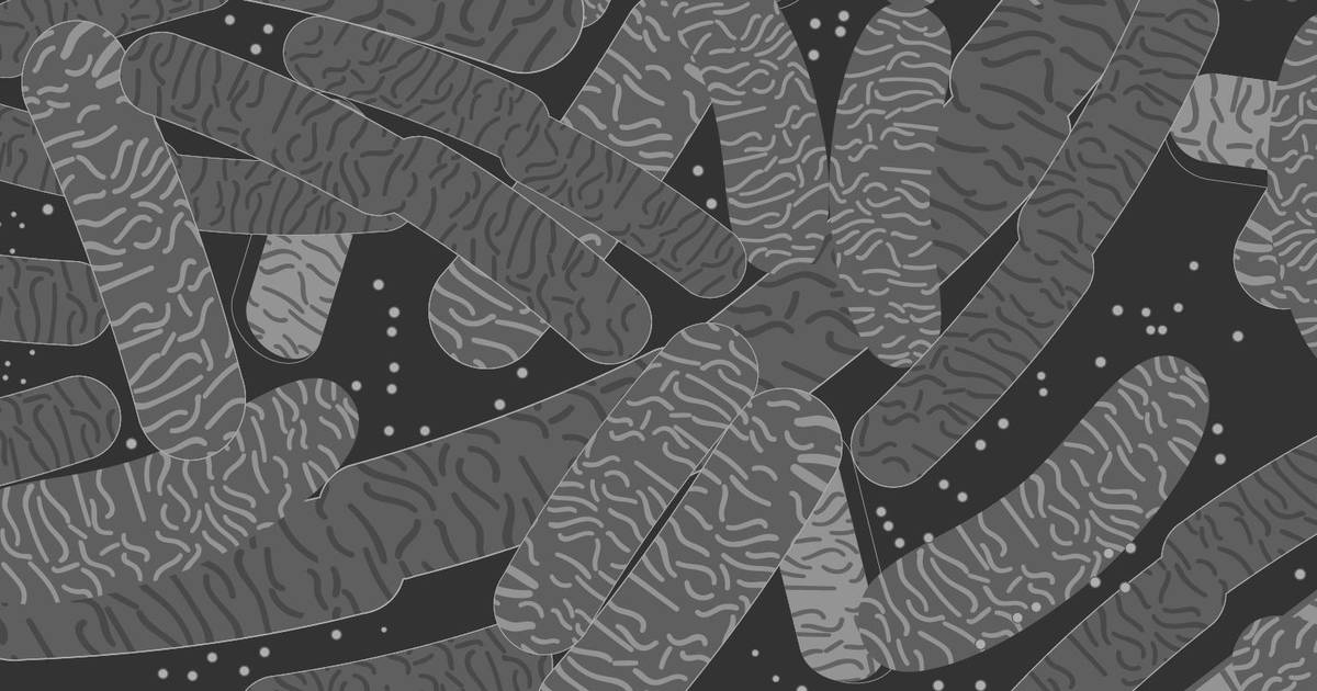 The Role of Cells in Gene Cloning