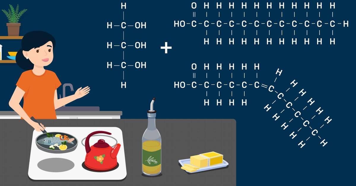 Lipid Structure in the Human Body and in Your Kitchen
