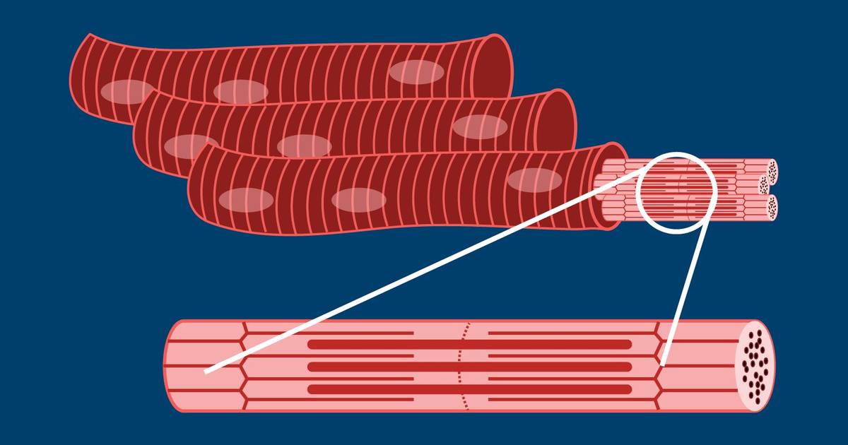 Visual Overview of Protein Functions