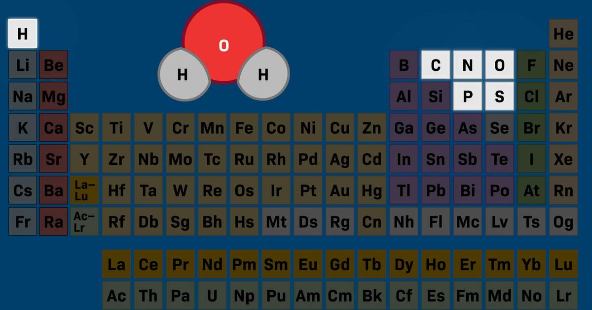 Water and the Elements of Life