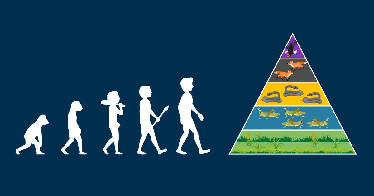 Evolution and Ecology