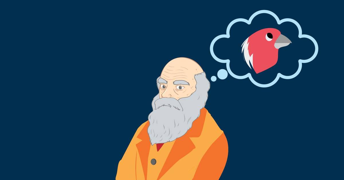 Natural and Artificial Selection