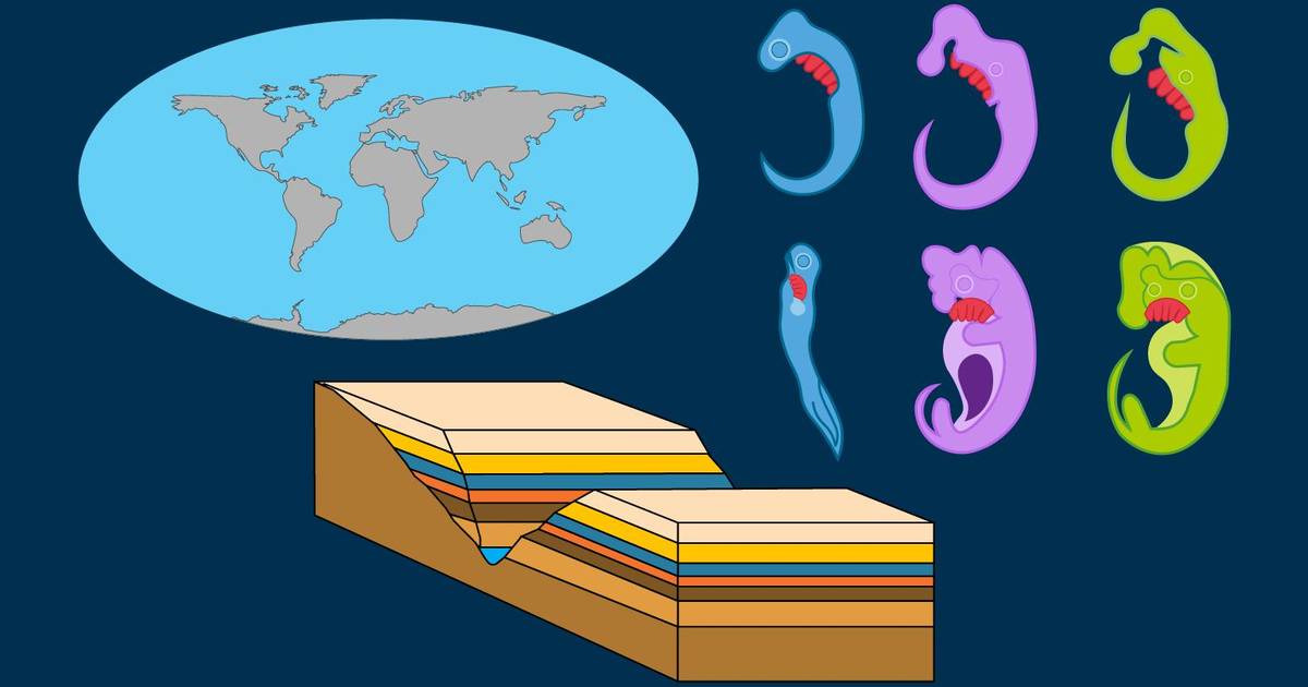 Evidence for Evolution