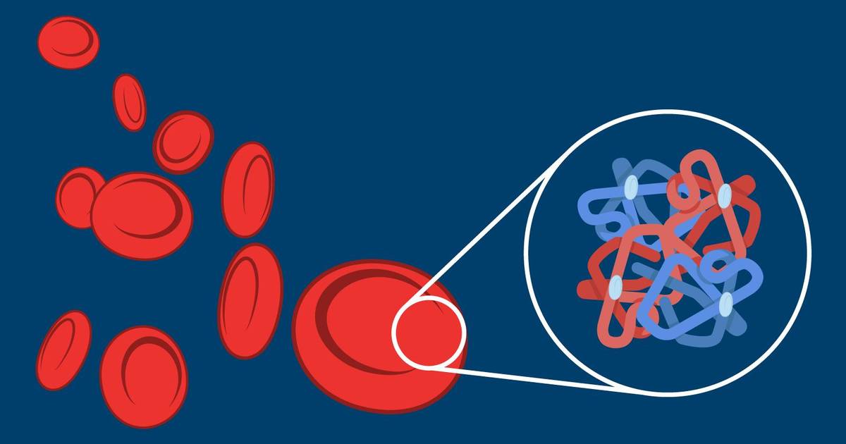 The Role of Proteins in the Cell