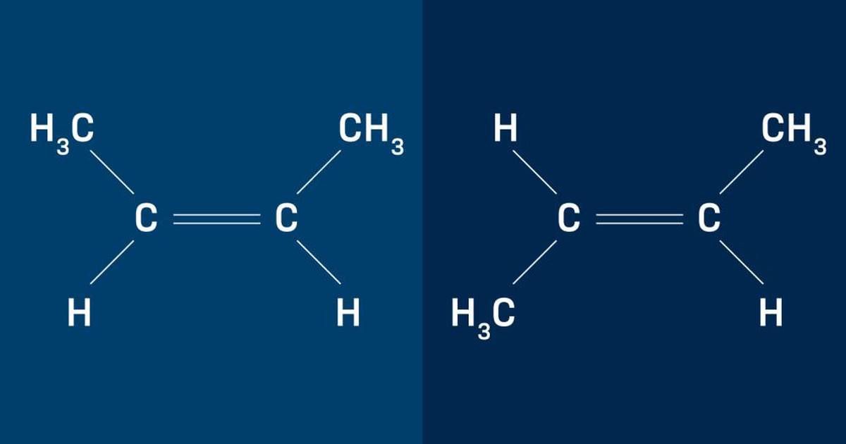 Water and Elements of Life