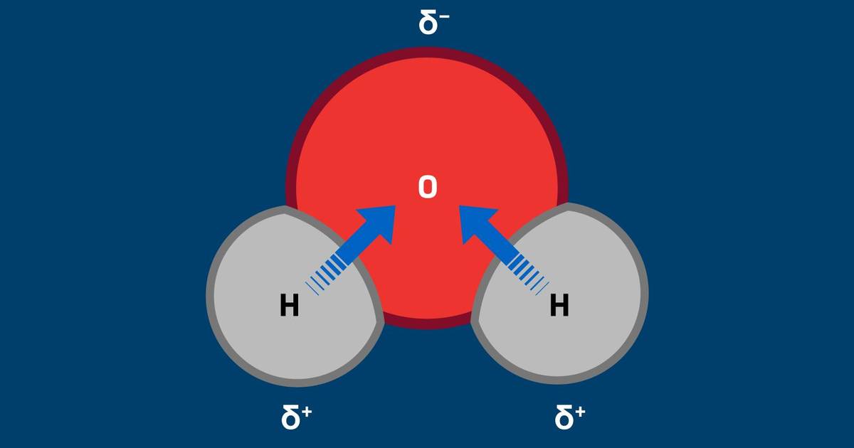 Water Properties and Hydrogen Bonding